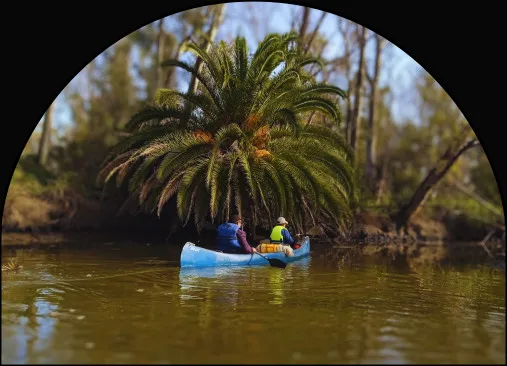Ven y disfruta de maravillosos paisajes naturales en los que podrás apreciar una amplia biodiversidad.